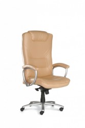 Mayer Ergo Line Chefsessel mit Synchron-Mechanik perlsilber / Leder beige Mayer Ergo Line Chefsessel mit Synchron-Mechanik perlsilber / Leder beige