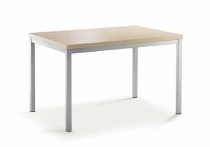 Mayer 3059 08 12 90 Universaltisch / Esstisch / Konferenztisch in persilber / ahorn 120x74x80 Mayer 3059 08 12 90 Universaltisch / Esstisch / Konferenztisch in persilber / ahorn 120x74x80
